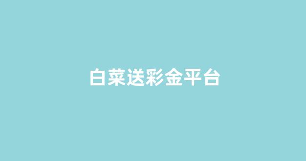 白菜公司排名