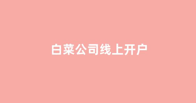 十大白菜软件